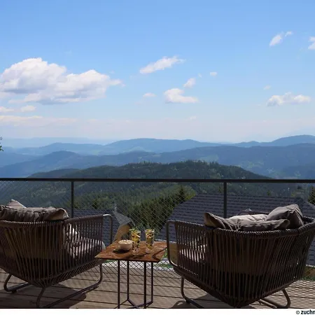 Tomtegl-bergchalet-no-6-mit-privatsauna-infinitypool-kamin-fitnessraum-1500m-seehoehe Holiday home